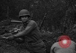 Standbild American 30 Infanterie Division setzt Verteidigung in Holz Stavelot Belgien, 1944, aus Sekunde 17 historischem Filmmaterial Videoclip 65675044524
