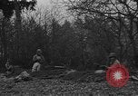 Standbild American 30 Infanterie Division setzt Verteidigung in Holz Stavelot Belgien, 1944, aus Sekunde 19 historischem Filmmaterial Videoclip 65675044524
