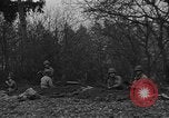 Standbild American 30 Infanterie Division setzt Verteidigung in Holz Stavelot Belgien, 1944, aus Sekunde 20 historischem Filmmaterial Videoclip 65675044524