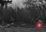 Standbild American 30 Infanterie Division setzt Verteidigung in Holz Stavelot Belgien, 1944, aus Sekunde 21 historischem Filmmaterial Videoclip 65675044524