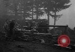 Standbild American 30 Infanterie Division setzt Verteidigung in Holz Stavelot Belgien, 1944, aus Sekunde 28 historischem Filmmaterial Videoclip 65675044524