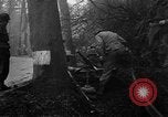 Standbild American 30 Infanterie Division setzt Verteidigung in Wald in der Nähe von Malmedy Malmedy Belgien, 1944, aus Sekunde 13 historischem Filmmaterial Videoclip 65675044525