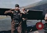 Image of Royal Air Force United Kingdom, 1945, second 31 stock footage video 65675044528