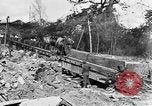 Immagine di Truppe canadesi Fiandre in Europa occidentale, 1944, secondo 15 filmato di repertorio 65675044539