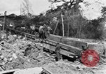 Immagine di Truppe canadesi Fiandre in Europa occidentale, 1944, secondo 16 filmato di repertorio 65675044539