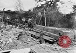 Immagine di Truppe canadesi Fiandre in Europa occidentale, 1944, secondo 17 filmato di repertorio 65675044539