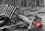 Immagine di Truppe canadesi Fiandre in Europa occidentale, 1944, secondo 33 filmato di repertorio 65675044539