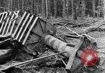 Immagine di Truppe canadesi Fiandre in Europa occidentale, 1944, secondo 34 filmato di repertorio 65675044539