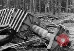 Immagine di Truppe canadesi Fiandre in Europa occidentale, 1944, secondo 35 filmato di repertorio 65675044539