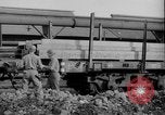 Image of American 1st Army prepares to enter Germany Belgium, 1944, second 59 stock footage video 65675044551
