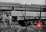 Image of American 1st Army prepares to enter Germany Belgium, 1944, second 60 stock footage video 65675044551