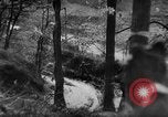 Image of US Army advance through Hurtgen forest Germany, 1944, second 29 stock footage video 65675044555