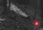 Image of US Army advance through Hurtgen forest Germany, 1944, second 31 stock footage video 65675044555