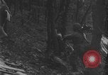 Image of US Army advance through Hurtgen forest Germany, 1944, second 33 stock footage video 65675044555