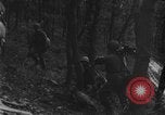 Image of US Army advance through Hurtgen forest Germany, 1944, second 36 stock footage video 65675044555