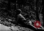 Image of US Army advance through Hurtgen forest Germany, 1944, second 37 stock footage video 65675044555