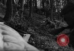Image of US Army advance through Hurtgen forest Germany, 1944, second 40 stock footage video 65675044555