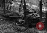 Image of US Army advance through Hurtgen forest Germany, 1944, second 59 stock footage video 65675044555