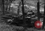 Image of US Army advance through Hurtgen forest Germany, 1944, second 61 stock footage video 65675044555