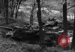 Image of US Army advance through Hurtgen forest Germany, 1944, second 62 stock footage video 65675044555