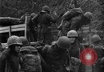 Image of First United States Army advance from Hurtgen Forest to Duren Germany, 1944, second 38 stock footage video 65675044556