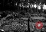 Image of First United States Army advance from Hurtgen Forest to Duren Germany, 1944, second 40 stock footage video 65675044556