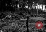Image of First United States Army advance from Hurtgen Forest to Duren Germany, 1944, second 41 stock footage video 65675044556