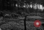 Image of First United States Army advance from Hurtgen Forest to Duren Germany, 1944, second 42 stock footage video 65675044556