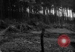 Image of First United States Army advance from Hurtgen Forest to Duren Germany, 1944, second 43 stock footage video 65675044556