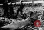 Image bombe du robot Europe, 1944, de la seconde 47 séquences d'archives historiques vidéo 65675044559