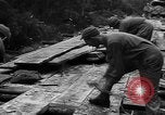 Image of American 1st Army Germany, 1944, second 40 stock footage video 65675044564
