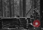 Image of American 1st Army Germany, 1944, second 50 stock footage video 65675044564