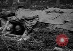 Image of American 1st Army Germany, 1944, second 53 stock footage video 65675044564
