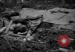 Image of American 1st Army Germany, 1944, second 54 stock footage video 65675044564