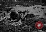 Image of American 1st Army Germany, 1944, second 55 stock footage video 65675044564