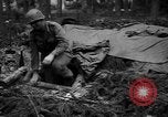 Image of American 1st Army Germany, 1944, second 56 stock footage video 65675044564
