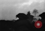 Image of Battles of Ardennes and the Bulge Ardennes Western Front, 1945, second 41 stock footage video 65675044565