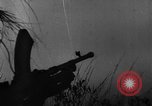 Image of Battles of Ardennes and the Bulge Ardennes Western Front, 1945, second 61 stock footage video 65675044565