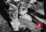 Image of fire fighters France, 1954, second 6 stock footage video 65675044577