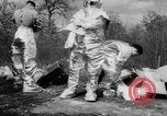 Image of fire fighters France, 1954, second 8 stock footage video 65675044577