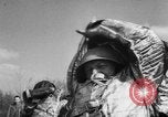Image of fire fighters France, 1954, second 41 stock footage video 65675044577