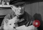 Image of cold war victims Berlin Germany, 1954, second 34 stock footage video 65675044578