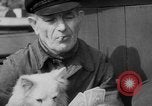 Image of cold war victims Berlin Germany, 1954, second 36 stock footage video 65675044578