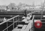 Image of cold war victims Berlin Germany, 1954, second 38 stock footage video 65675044578