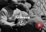 Standbild Segen für die Flotte Griechenland, 1954, aus Sekunde 1 historischem Filmmaterial Videoclip 65675044579