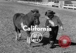 Standbild Ronnie Graham California United States USA, 1954, aus Sekunde 3 historischem Filmmaterial Videoclip 65675044581
