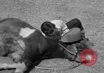 Standbild Ronnie Graham California United States USA, 1954, aus Sekunde 22 historischem Filmmaterial Videoclip 65675044581