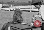 Standbild Ronnie Graham California United States USA, 1954, aus Sekunde 34 historischem Filmmaterial Videoclip 65675044581