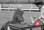 Standbild Ronnie Graham California United States USA, 1954, aus Sekunde 35 historischem Filmmaterial Videoclip 65675044581