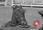 Standbild Ronnie Graham California United States USA, 1954, aus Sekunde 40 historischem Filmmaterial Videoclip 65675044581